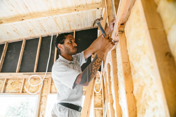 Best Professional Insulation Contractor  in Vineland, NJ